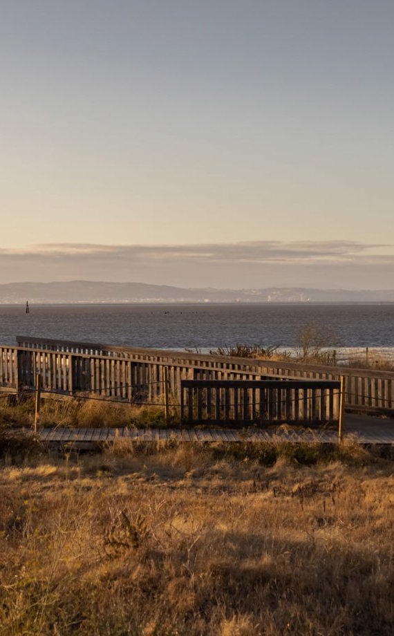 00Fea6f3ccb077e382d62ab7bd8ed292 (1)