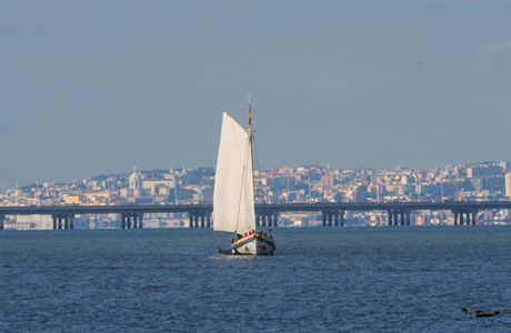 Nº1