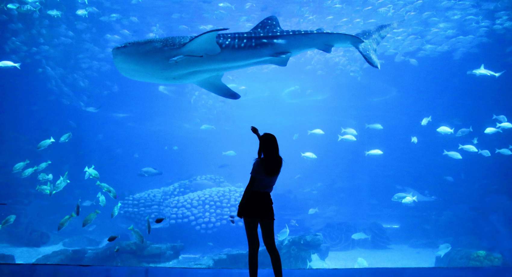 Silas Hao Xgiwvsxhhhw Unsplash