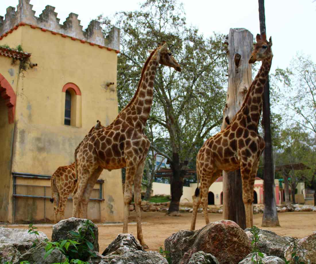 Armando Brenlha Nd4ck4n0e7a Unsplash