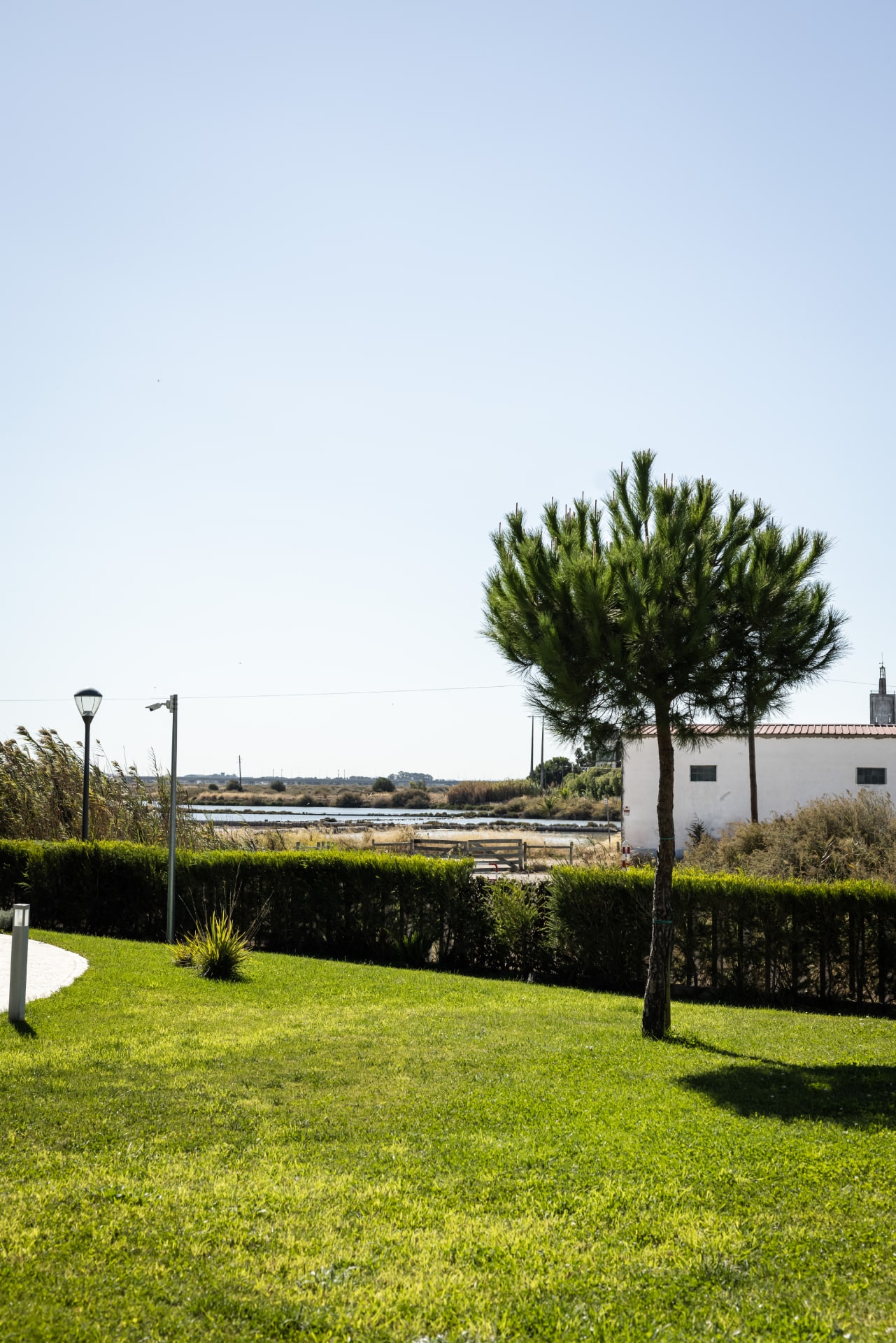 Praia Do Sal Geral 9