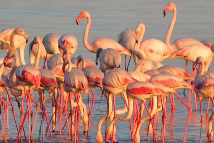 Alojamento + Salinas