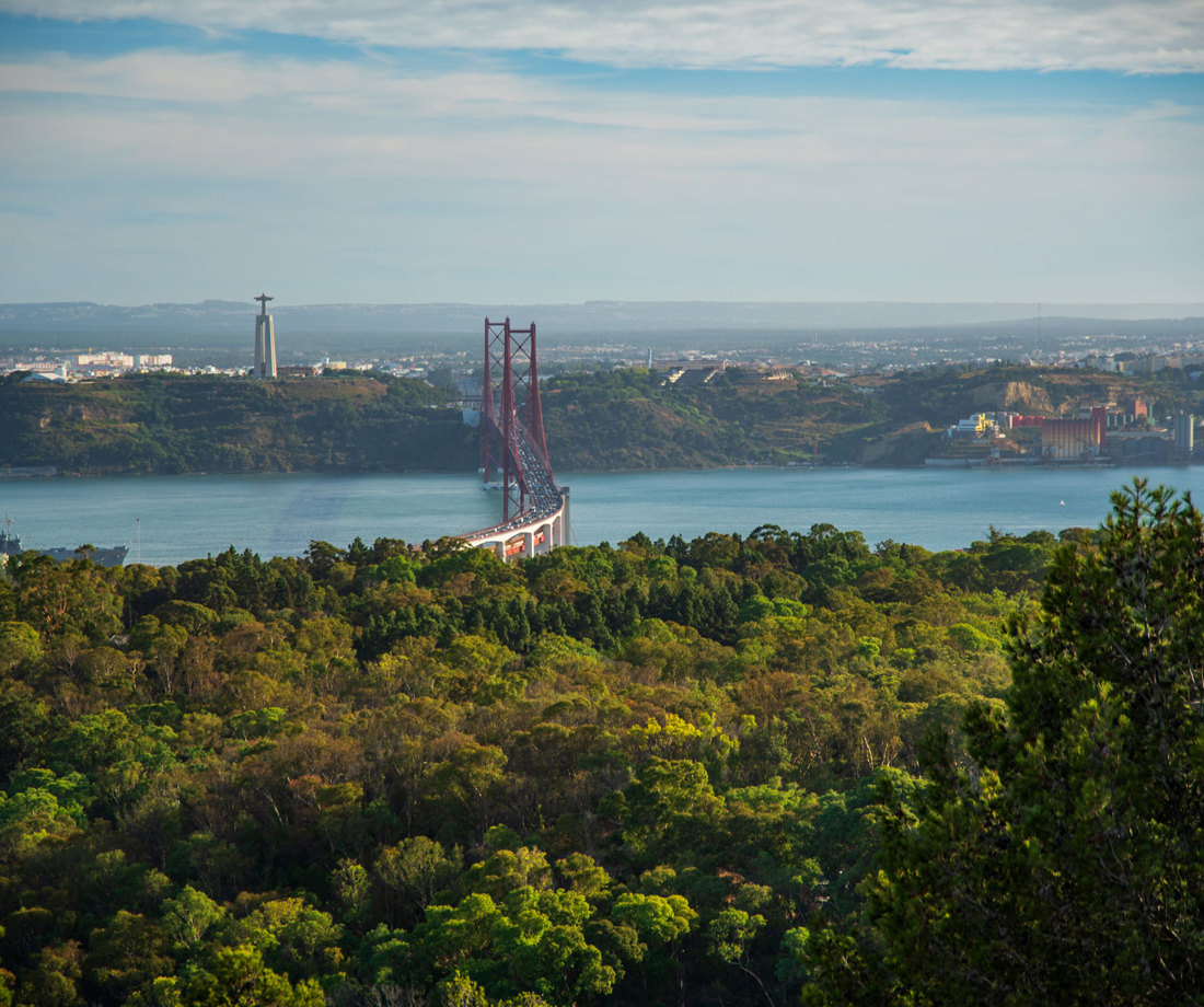 Monsanto Natureza Em Lisboa Upon Lisbon