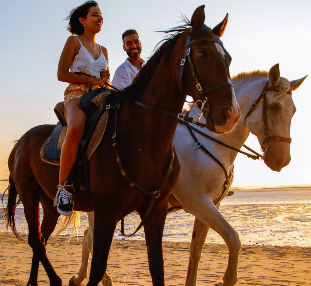 Alcochete Ande A Cavalo