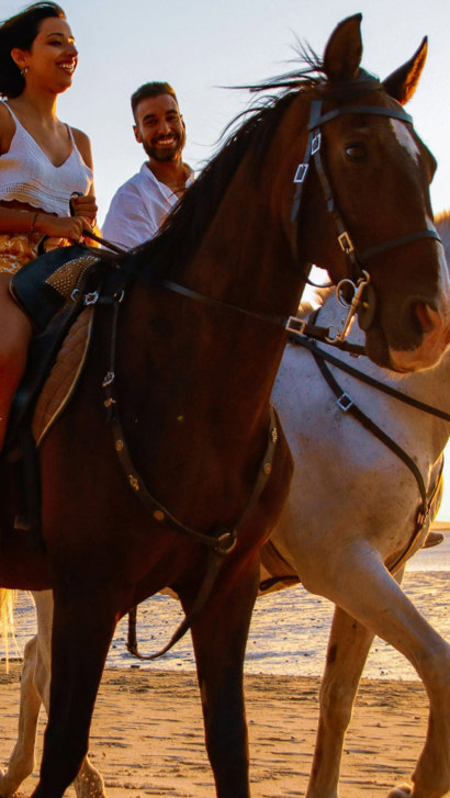 Alcochete Ande A Cavalo