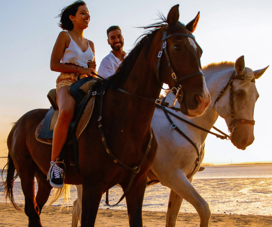 Alcochete Ande A Cavalo