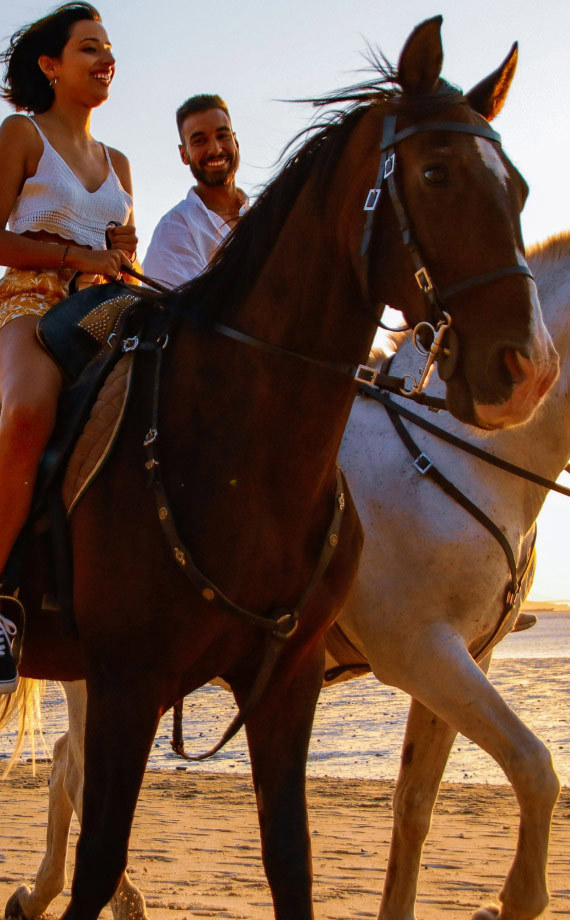 Alcochete Ande A Cavalo