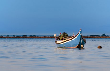 Praia Do Sal Alcochete 1