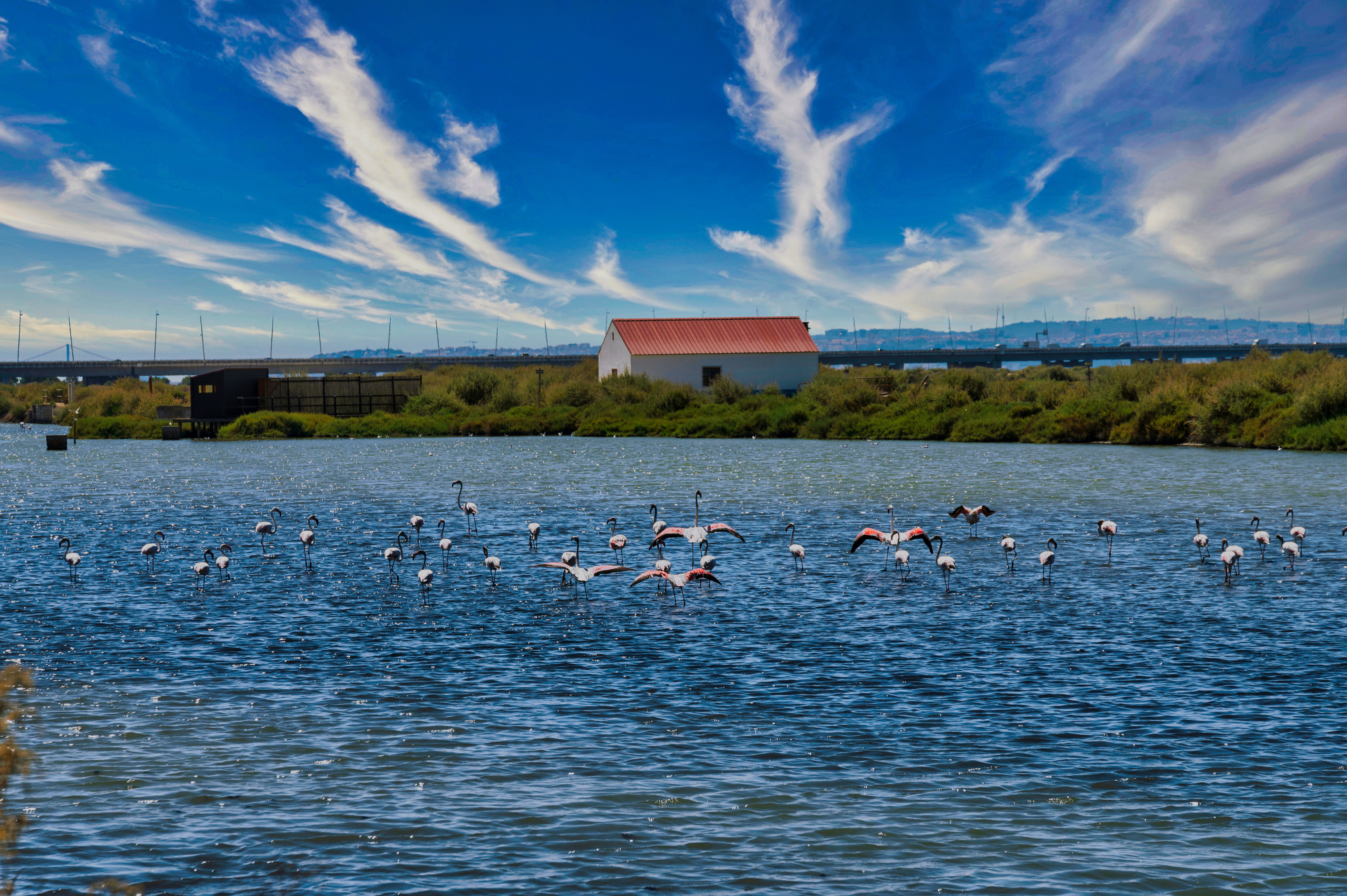 Adobestock 522568092