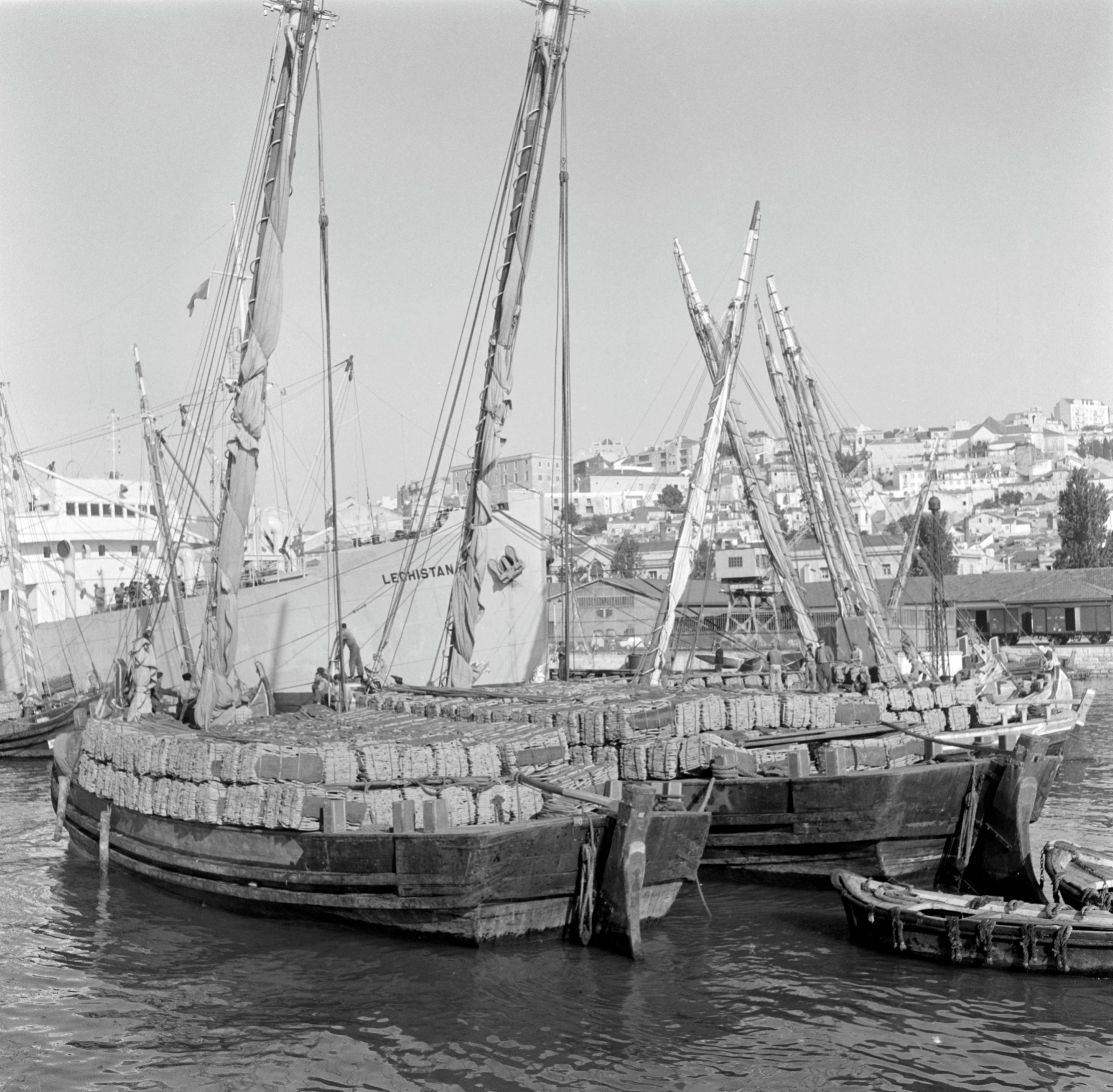 Dg056451