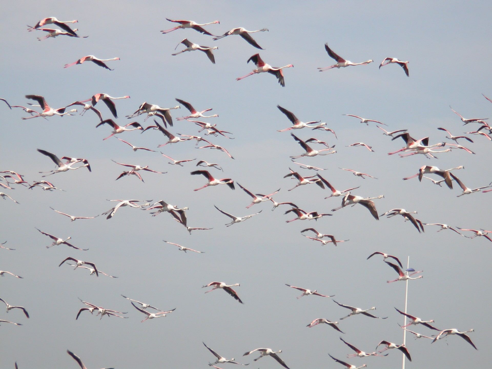 Praia Do Sal Salinas 1