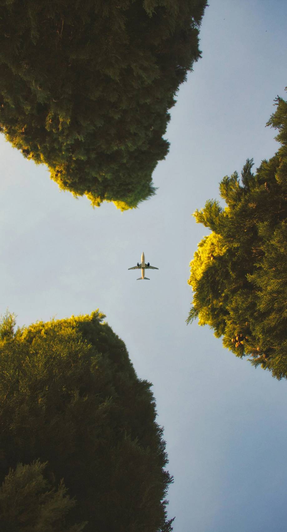Rocco Stoppoloni Vjabzmv RWQ Unsplash